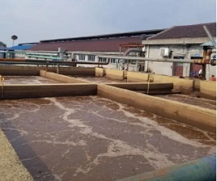 出水氨氮大于進水氨氮，怎么回事？