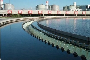 反硝化浮泥該如何預(yù)防？你知道嗎？