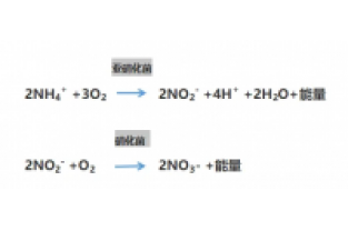 食品廢水氨氮超標(biāo)，你可以這么做
